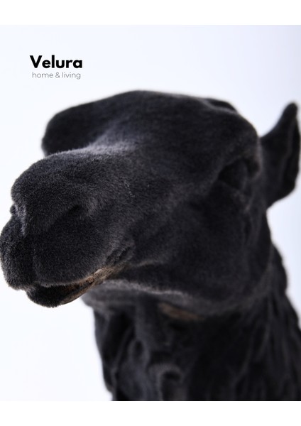 Aykam (Siyah Deve) Biblo & Heykel & Büst & Figür modelleri