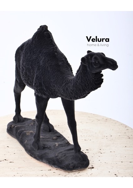 Aykam (Siyah Deve) Biblo & Heykel & Büst & Figür fırsatları