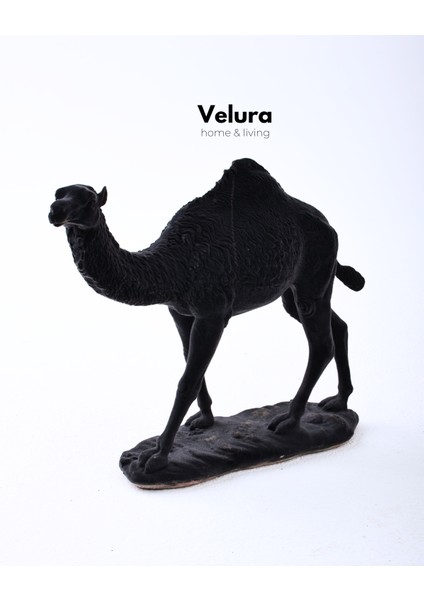 Aykam (Siyah Deve) Biblo & Heykel & Büst & Figür indirimleri