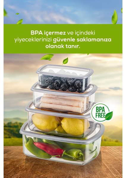 4'lü Hava Geçirmez Saklama Kabı Seti Antrasit 250-1200 ml modelleri