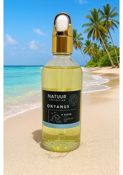 Okyanus Esans Buhurdanlık Difüzör Parfüm Esansı Doğal Uçucu Yağ 100 ml