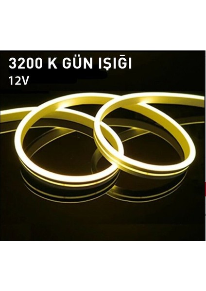 Günışığı Neon LED (12V) 50 Metre