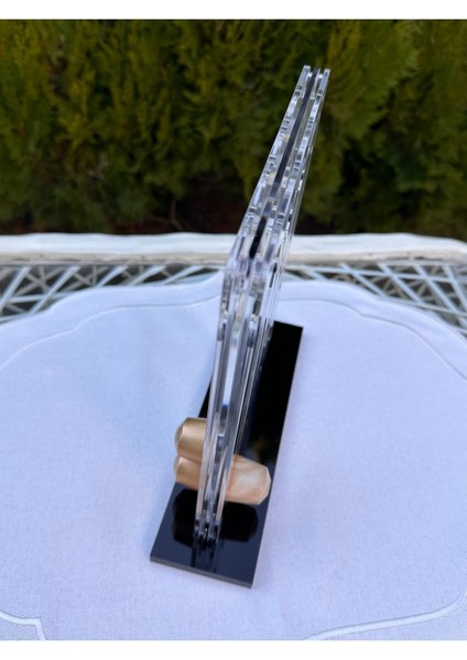 Kahverengi Kapsül Düzenleyici, Organizer, Stand - Pratik ve Şık Tasarım fiyatları