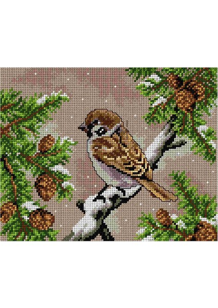 Baskılı Goblen Serçe 2820 24*30 cm