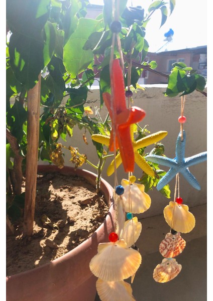 Renkli Deniz Yıldızı ve Kabuklu Süs Seti, Duvar, Balkon, Bahçe Dekoru fiyatları