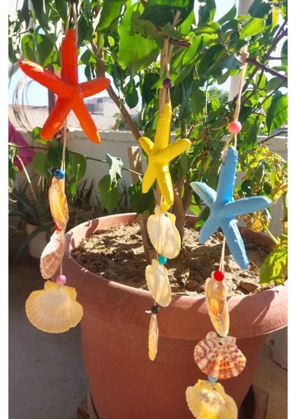 Renkli Deniz Yıldızı ve Kabuklu Süs Seti, Duvar, Balkon, Bahçe Dekoru modelleri