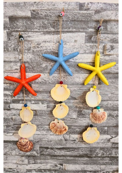 Renkli Deniz Yıldızı ve Kabuklu Süs Seti, Duvar, Balkon, Bahçe Dekoru