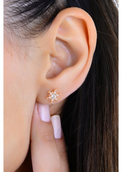 Gümüş Rose Zirkon Taşlı Kar Kristali Küpe SGTL12998ROSE fiyatları