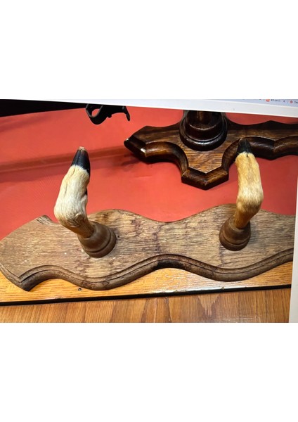 82 cm Uzunluğunda Gerçek Karaca Ayaklarından Askılık