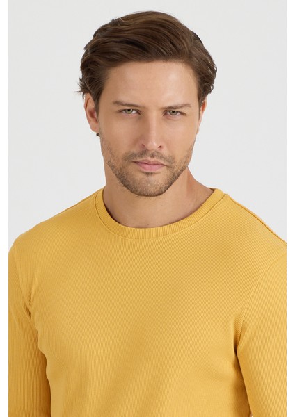 Erkek Uzun Kol Sweatshirt 1258 fiyatları