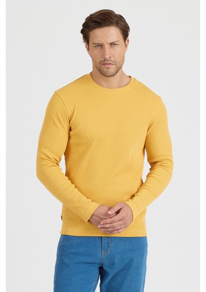 Erkek Uzun Kol Sweatshirt 1258 modelleri