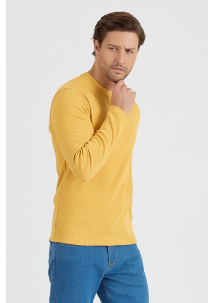 Erkek Uzun Kol Sweatshirt 1258 fırsatları