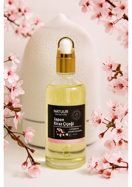 Japon Kiraz Çiçeği Esans Buhurdanlık Difüzör Parfüm Esansı Doğal Uçucu Yağ 100 ml
