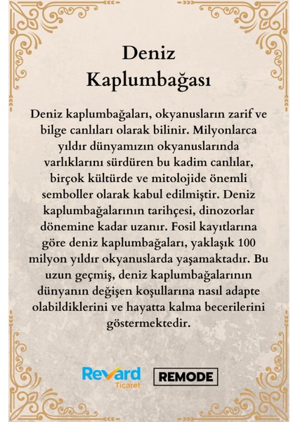 Mavi Seramik Kaplumbağa Dekoratif Süs Eşyası 18X19 cm indirimleri