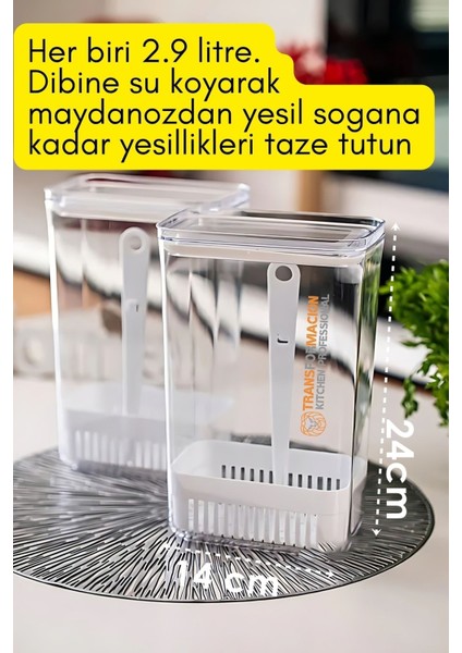 Şeffaf Yeşillik Saklama Kabı - Taze Için 2'li Set modelleri