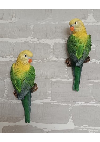 Iki Renkli El Boyama Muhabbet Kuşu Duvar Süsü, Balkon ve Bahçe Için Şık Dekor fırsatları