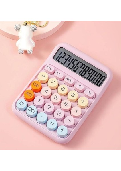 12 Haneli Güneş Enerjili Hesap Makinesi Açılı Geniş Ekran, Çift Güç Kaynağı Solar Pil Pembe Renk