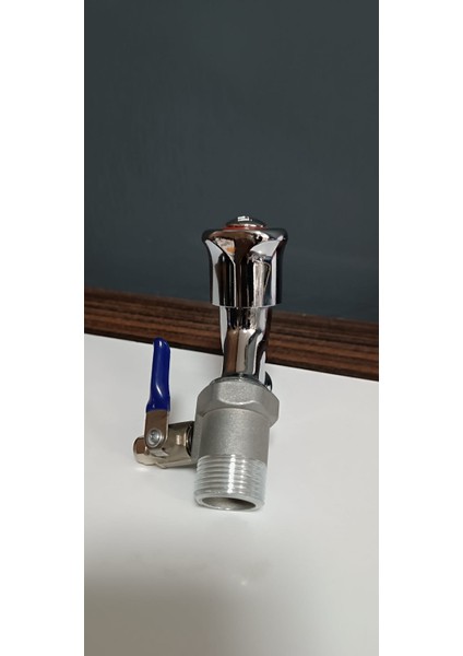 Arıtma 3/4" Hat Alma Te ve Vana fiyatları