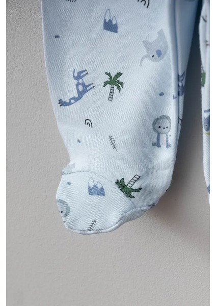 Sevimli Hayvanlar Desenli 10 Parça Kutulu Hastane Çıkışı Yenidoğan Zıbın Seti fırsatları