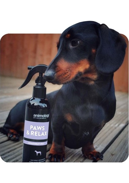 Animology Paws & Relax Aromaterapi Köpek Temizlik Spreyi 250 ml fiyatları