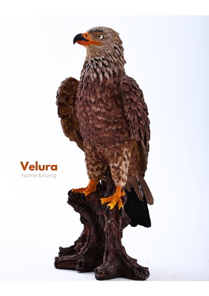 Berkut (Kartal) Biblo & Heykel & Büst & Figür fiyatları