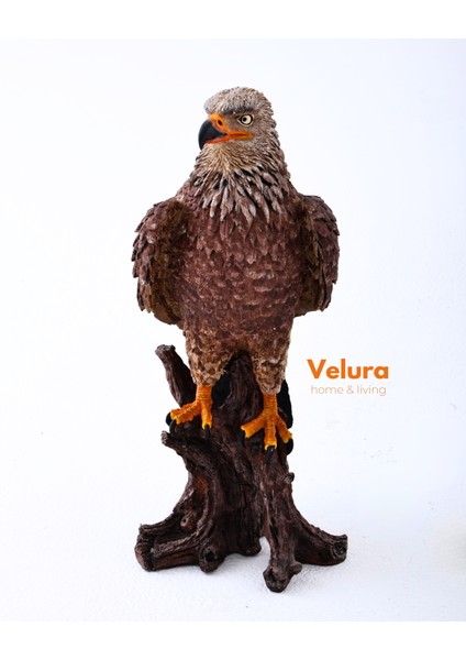 Berkut (Kartal) Biblo & Heykel & Büst & Figür modelleri