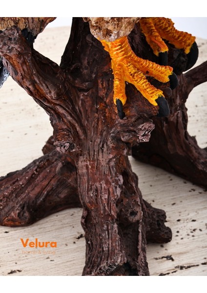 Berkut (Kartal) Biblo & Heykel & Büst & Figür fırsatları