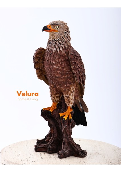 Berkut (Kartal) Biblo & Heykel & Büst & Figür