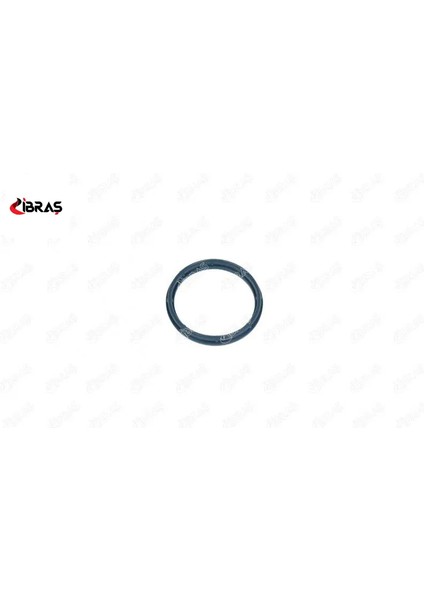 Emme Manifold Contasi Boxer Jumper Ducato-Transit 2.0 Tdci/2.2 Hdi/2.4 Ibras 9809876580/ 9809878980/ 131671 19386