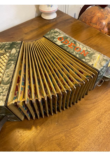 Alman Üretimi Akardiyon fırsatları