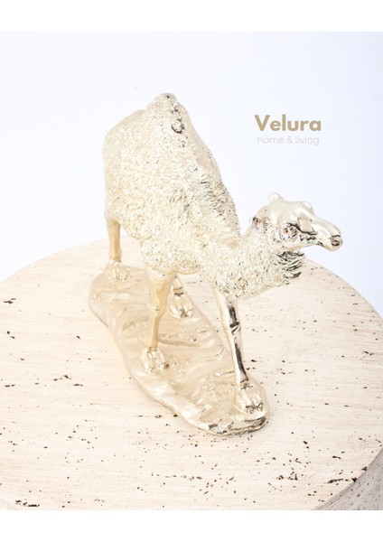 Aykam (Gold Deve) Biblo & Heykel & Büst & Figür modelleri