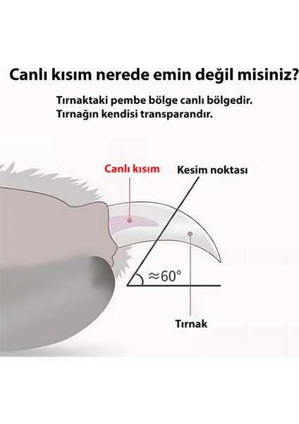 Bambu, Köpek Tınak Makası fırsatları