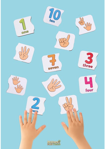 Sayılar Eşleştirme Oyunu Ahşap Iki Parçalı Bebek Puzzle Puzzle Eğitici Oyuncak modelleri