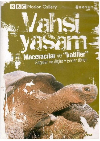Bbc Motion Gallery - Vahşi Yaşam Maceracılar ve Katiller Gagalar ve Dişler Ender Türler - (Dvd)