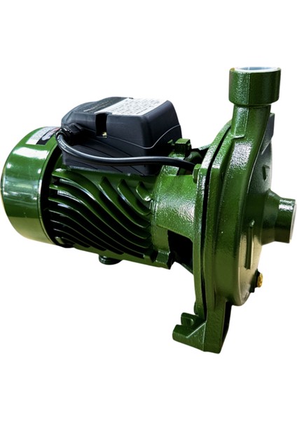 1.5 Hp - 1 Kw Alman Teknolojisi Bahçe Pompası Su Pompası Cpm 158 Elektrikli Su Pompası 80 L/dak 25 Metre Yükseklik modelleri