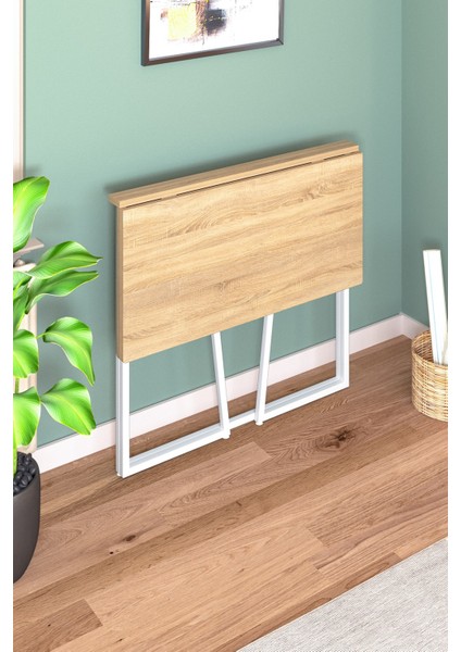 Foldy Katlanabilir Metal Ayaklı Çalışma Masası 47X82 cm Pratik Bilgisayar Masası Çizim Masası fiyatları