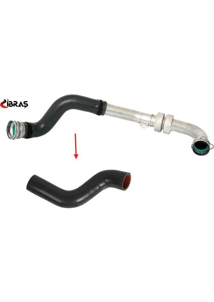 Turbo Hortumu(Metal Boru Hariç) Megane Iii Fluence Ibras 8200760281 11457