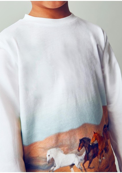 Erkek Çocuk Baskılı Sweatshirt indirimleri