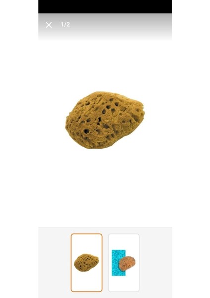 Turuncu Doğal Deniz Süngeri, Temizlik ve Cilt Bakımı Için Harika Bir Seçim