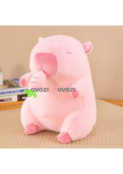 Ovozı 50CM Sevimli Kapia Su Yunusu Peluş Oyuncak Bebek Bebek Yastık Hediye (Yurt Dışından)