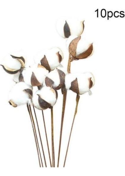 10'lu Doğal Pamuk Dallar, Beyaz, Yumuşak ve Hafif, Dekoratif ve Kullanışlı Set fiyatları