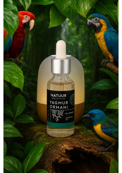 Natuur Collection Yağmur Ormanı Esans Buhurdanlık Esansı Doğal Uçucu Yağ 20 ml