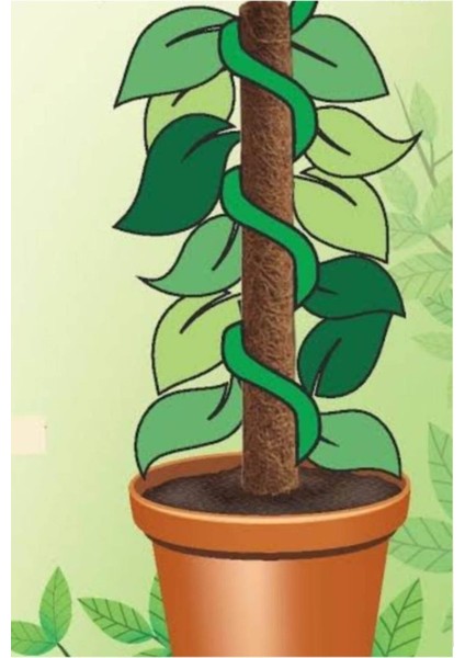 Bitki Destek Çubuğu 120CM Yosun Sopası modelleri