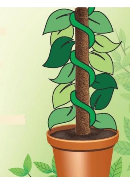 Bitki Destek Çubuğu 160CM (Yosun Sopası) modelleri