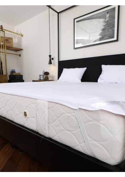 Micro Sıvı Geçirmez Alez Lastikli 160X200 fiyatları