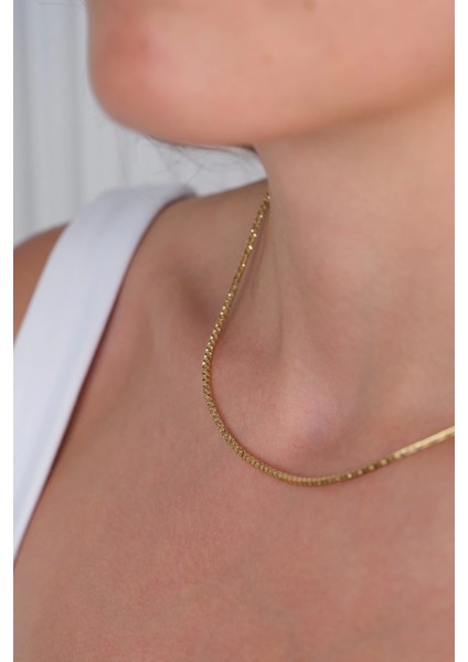 14 Ayar Altın Zincir Kolye 831 fiyatları