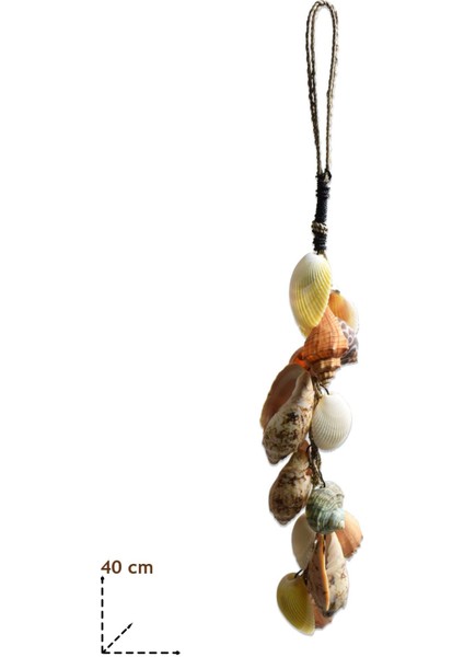 Ikili Deniz Kabuklu Rüzgar Çanı Seti Bahçe ve Balkon Dekoru modelleri