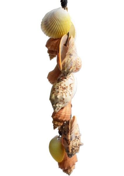 Ikili Deniz Kabuklu Rüzgar Çanı Seti Bahçe ve Balkon Dekoru indirimleri