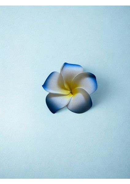 Hawaii Plumeria Çiçeği Kıstırmalı Köpük Toka 5,5cm