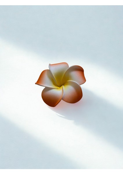 Hawaii Plumeria Çiçeği Kıstırmalı Köpük Toka 5,5cm
